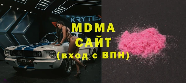 мдпв Инсар