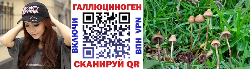 omg tor  Куйбышев  Галлюциногенные грибы мицелий  наркошоп 
